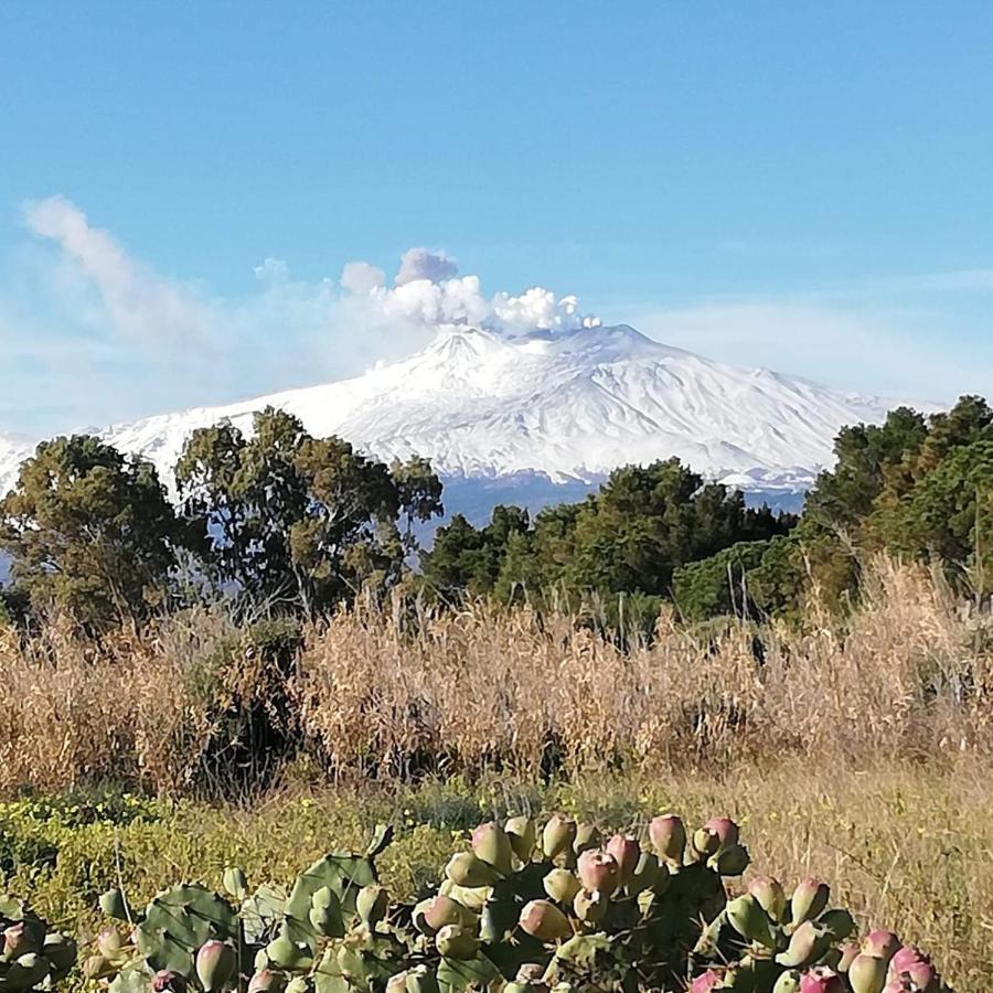 リポストCasa Donna Rosaria Tra Etna E Taorminaアパートメント エクステリア 写真