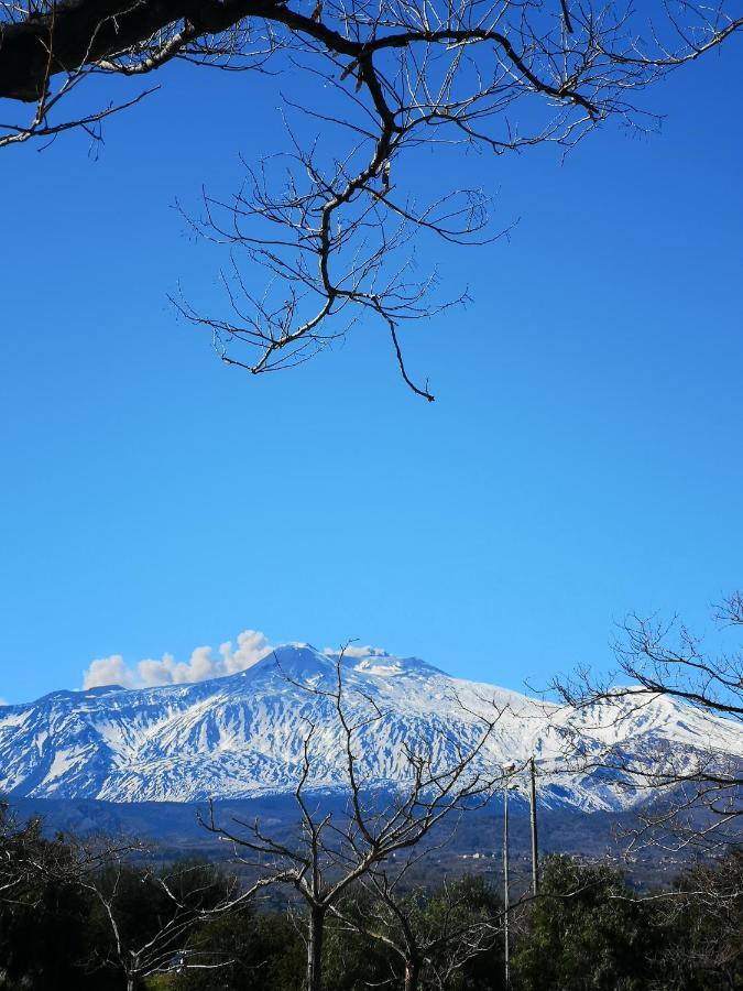 リポストCasa Donna Rosaria Tra Etna E Taorminaアパートメント エクステリア 写真